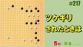 【ツケギリされたときは】５分で囲碁レッスン #217