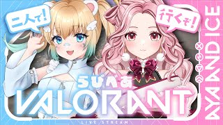 【#VALORANT】女子デュオコンペするう！！🐻‍❄【#Vtuber】