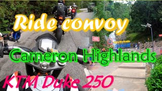 Ride convoy 2024 | Cameron Highlands Duke 250 vs superbike #cameronhighlands #rideconvoy