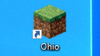 playing ohio in minecraft💀