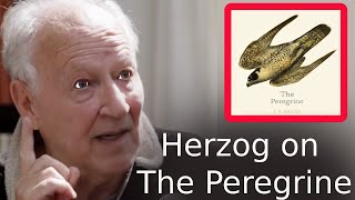 Werner Herzog on The Peregrine \u0026 Why Writers and Filmmakers 'Must Read It.'