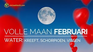 FEBRUARI VOLLE MAAN KREEFT SCHORPIOEN VISSEN WATER