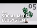 Social Sessions with Mosh: Social Media Ecosystem