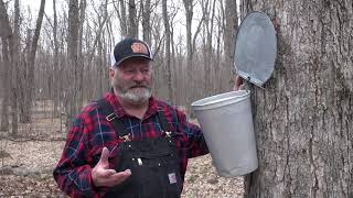 PRODUCTION DE SIROP D'ÉRABLE AVEC SIMON ROZON