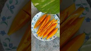 Ende vtil indaya nalla adipoli papaya  #shorts #kerala #viral