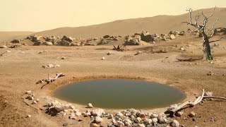 Mars New 4k Video: Sign Of Life On Mars || Mars Perseverance Rover Latest 4k Video: Mars New Video