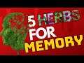 Herbal Memory Boost: The Top 5 Memory-Enhancing Herbs!