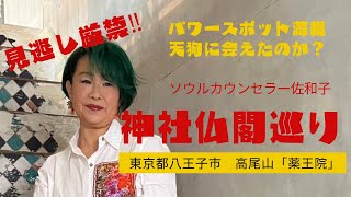 ソウルカウンセラー佐和子の【神社仏閣巡り】天狗が屋根に⁈パワースポットだらけの高尾山「薬王院」往復歩きの健脚参拝‼︎天気の良い日は富士山も見えるよ〜‼︎