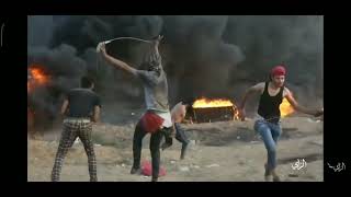 leve palestine تحيا فلسطين viva palestine freedom for palestine رقصة محارب فلسطيني dance warrior