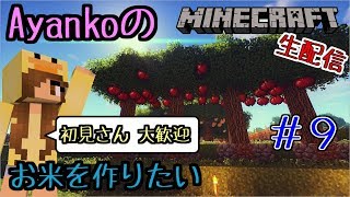 【マイクラ】まったり農作業しようかな♪#9