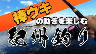 棒ウキの動きを楽しむ紀州釣り【ウキの動きが見えます】