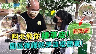 把庭院荒地變成茂盛草坪！ 想打造辦公室後花園卻發生悲劇...？！ FT.@Aba888 【含羞草日記】