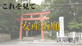 効果抜群！見るだけで安産祈願！！　※優しい神社【稲毛浅間神社】　　Easy delivery　　Apotropaic magic　　Japanese shrine　　【Asama Shrine】