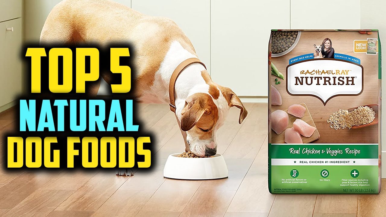 Top 5 Best Natural Dog Foods Of 2023 - YouTube