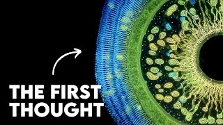 How Consciousness Emerged: From Single Cells to Complex Minds