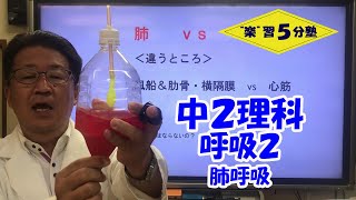 【中２理科　動物】呼吸２　「肺呼吸」