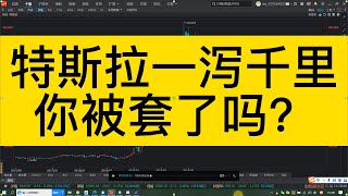 特斯拉一泻千里！你被套了吗？