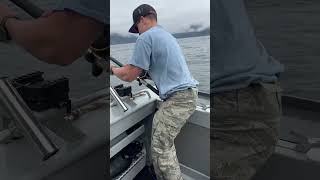 141 lb Halibut Part 1 #halibut #shortvideo #alaska #fishing #fishing #youtubeshorts #youtube #shorts