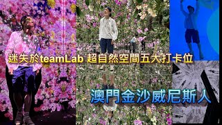 迷失於澳門金沙威尼斯人teamLab 超自然空間五大打卡位｜飄浮的花園｜無窮無盡的水晶宇宙｜無相之雲｜花與人的窪谷｜變幻的空間｜茶室｜