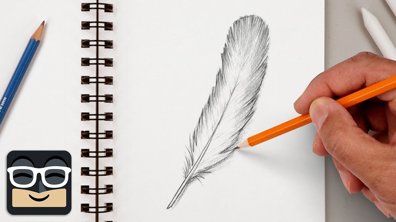 Feather Drawing Tutorial
