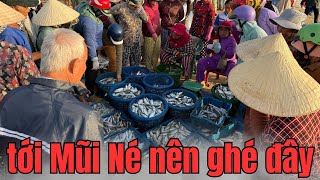 Bất ngờ hải sản cảng cá Mũi Né Phan Thiết từ 5h sáng đến 9h sáng||Ghi hình cuối tháng 6/2025