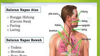 Kebutuhan oksigenasi