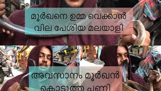 പാമ്പിനെ ഉമ്മ വെക്കാൻ വില പേശിയ മലയാളി 😂|അവസാനം പാമ്പ് ഒരു ഉമ്മ 😳|snake kissing at manali🥺🐍