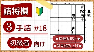 【観て解く、聴いて解く、分かって納得、詰将棋】【３手詰】初級編 #28 『焦点の捨て駒』