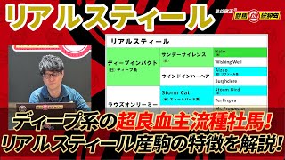 【リアルスティール】 ディープ系のなかでも超良血！ トップ種牡馬になれるポテンシャルあり！