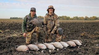 Goose Hunting North Dakota! (SOLO LIMIT)