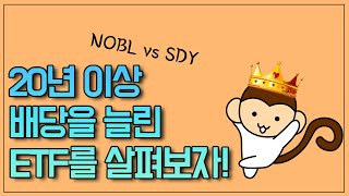 20년 이상 배당을 늘린 미국배당성장주ETF를 살펴보자(NOBL vs SDY)