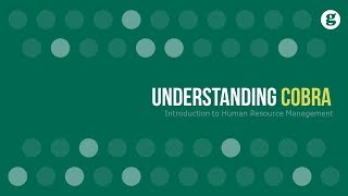 Understanding COBRA