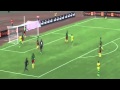 Cameroon 2-2 South Africa - All Goal- 26/03/16