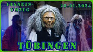 Amazing Tübinger Fasnetsumzug Carnival Parade 2024 - Pure Fun