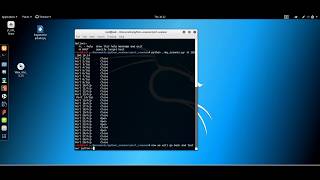Python custom scanner and python-nmap scanner