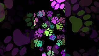 Copyright and royalty-free animated backgrounds. Pawprint