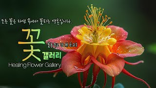 모든 꽃은 자연 속에서 꽃피는 영혼입니다. - 꽃을 주고 간 AI / E.23