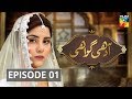 Adhi Gawahi Episode #01 HUM TV Drama