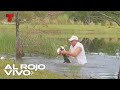 Hombre salva su perrito de las mandíbulas de un caimán | Al Rojo Vivo | Telemundo