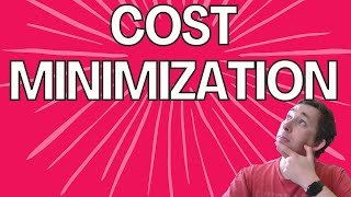 Lagrangian Cost Minimization in Under 5 Minutes | Micro Struggle