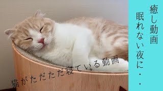 猫がただただ気持ちよさそうに寝ている動画。