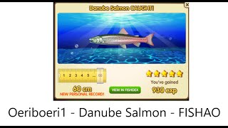 Oeriboeri1 - DANUBE SALMON (5★) - FISHAO