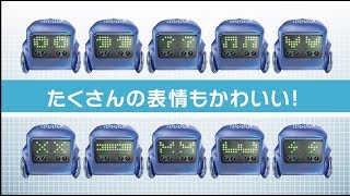 ハロー!QB(キュービー)3つのポイント その① 豊かな表情とコミカルなアクションが楽しい!