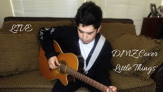 Dmz Cover Little Things