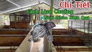 Chi tiết những mẹo nhỏ cách làm chuồng nuôi nhím hiệu quả của #trại_nhím_đồng_tháp