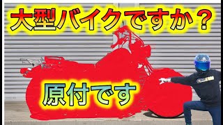 【原付試乗】これ本当に原付ですか⁉️