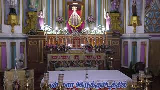 ༺♰༻ 🅛🅘🅥🅔 𝑽𝒂𝒅𝒂𝒗𝒂𝒊 𝑷𝒂𝒓𝒂𝒍𝒐𝒈𝒂 𝑴𝒂𝒕𝒉𝒂 - Festival Mass -Day 3 - 8 Aug 24- திருவிழா திருப்பலி 🆅🅰🅳🅰🆅🅰🅸  🅼🅰🆃🅷🅰