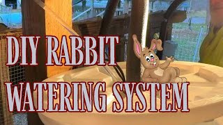 Ep. 196: DIY Rabbit Watering System: Keep Your Bunnies Hydrated!