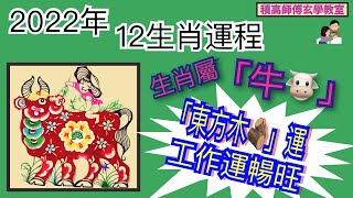 ［詳盡版]|2022壬寅年十二生肖運程|屬牛🐮整體運勢|行「東方木運」|工作運超暢順|財運不俗|十二生肖運勢大全|