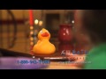 All Bath Concepts Rubber Ducky